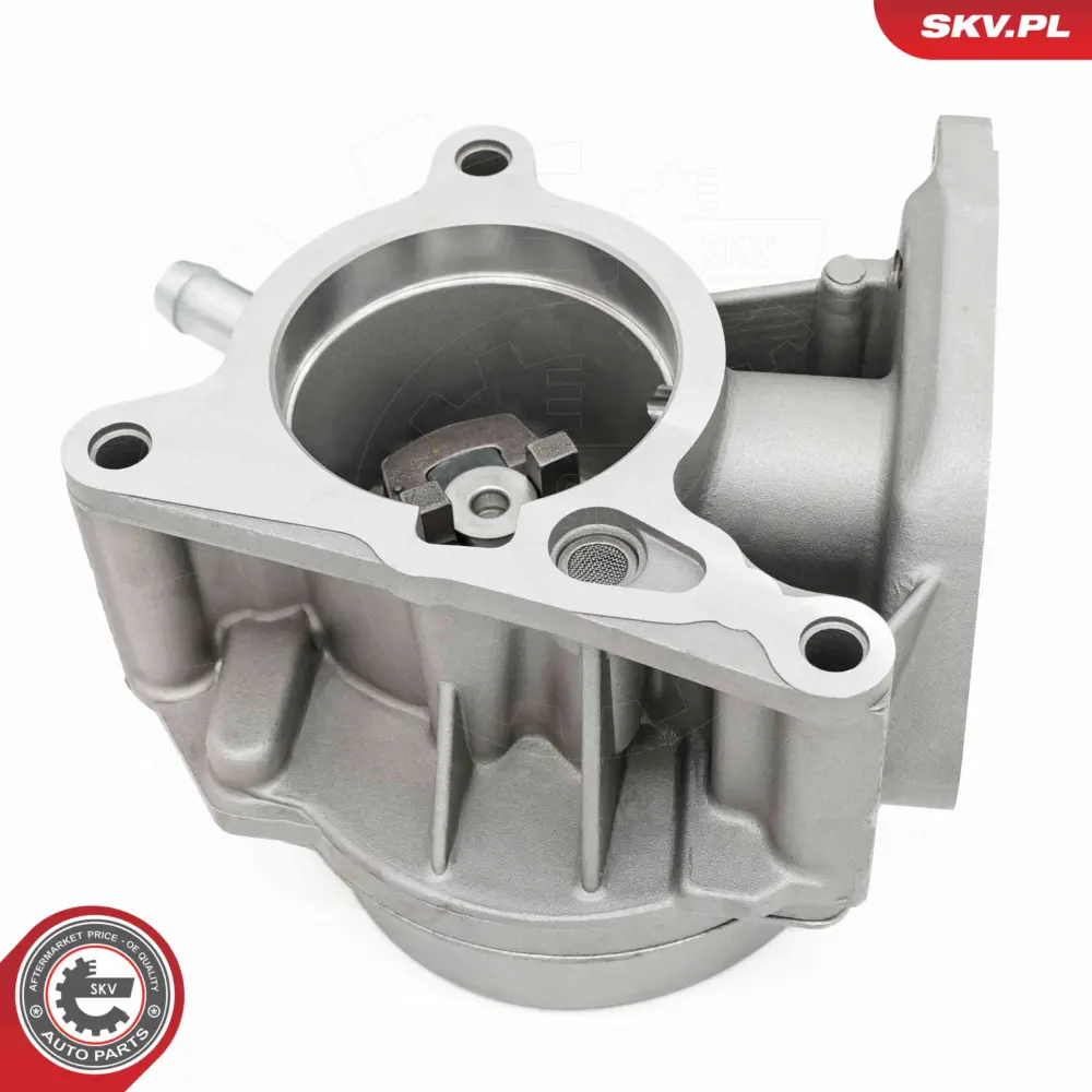 Pompa a vuoto freno per VW Passat B6 (3C2) Passat B6 Variant (3C5) 06H 145 100AB