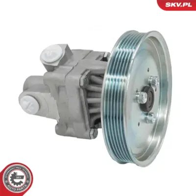 Pompa del servosterzo per Audi A8 D2 (4D2 4D8) 4D0 145 165 P