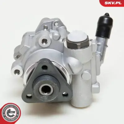 Pompa del servosterzo per Audi Q5 (8RB) 8R0145155G