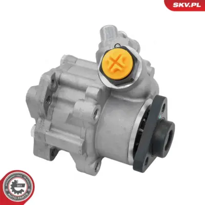 Pompa del servosterzo per BMW Serie 3 (E93 E92 E90) 2283002