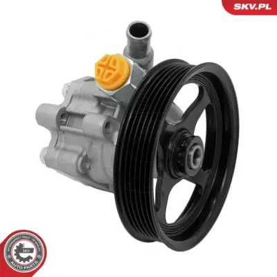 Pompa del servosterzo per Cadillac SRX 25754247