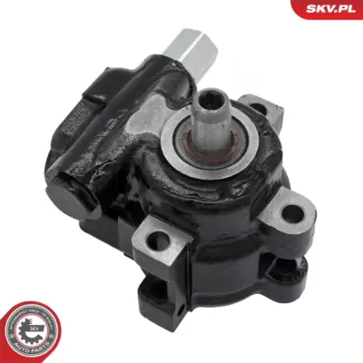 Pompa del servosterzo per Chrysler Aspen (HG); Dodge Durango (HB) 52113240AA