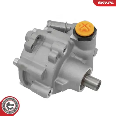 Pompa del servosterzo per Dacia Duster Duster SUV Van 491105510R