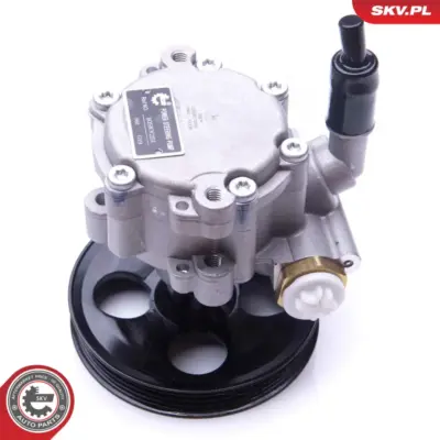 Pompa del servosterzo per Dacia Logan II Logan MCV II Sandero II 491101451R