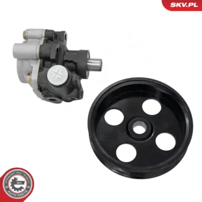 Pompa del servosterzo per Dodge Dakota Durango (DN) 52106253AD