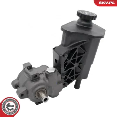Pompa del servosterzo per Dodge RAM 1500 Pickup (D1 DC DH DM DR) 5073240AA