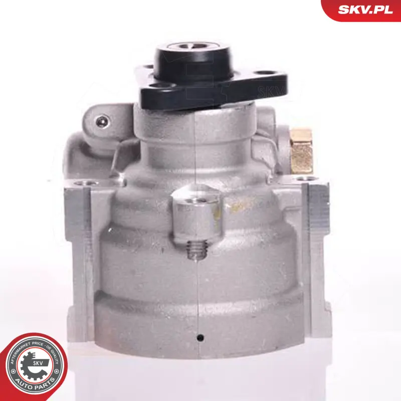 Pompa del servosterzo per Fiat Punto Palio Palio Weekend Strada Pickup 46408075