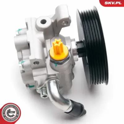Pompa del servosterzo per Ford Tourneo Connect Transit Connect 1332451