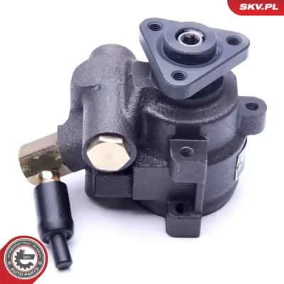 Pompa del servosterzo per Ford Transit Bus Transit Platform/Chassis 6789028
