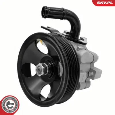 Pompa del servosterzo per Hyundai Santa FÉ I (SM) 57100-26300