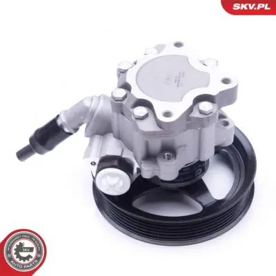 Pompa del servosterzo per Land Rover Range Rover III (L322) QVB500430