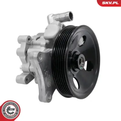 Pompa del servosterzo per Mercedes Classe E T-Model (S212) SLK (R172) 0064664301