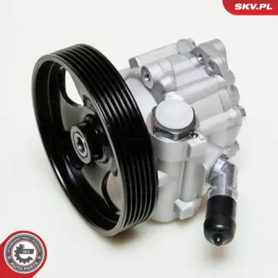 Pompa del servosterzo per Peugeot 206 CC (2D) 206 Hatchback (2A C) 207 CC 4007RZ