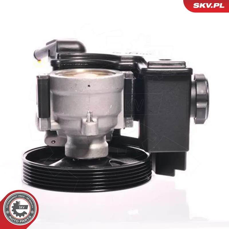 Pompa del servosterzo per Peugeot 206 Hatchback (2A C) 206 SW (2E K) 4007KX