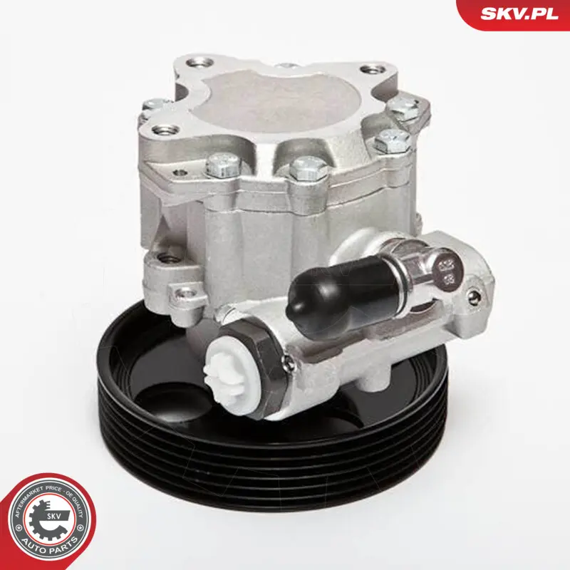 Pompa del servosterzo per Peugeot 306 (7B N3) 306 Break (7E N3) 406 (8B) 4007 A6