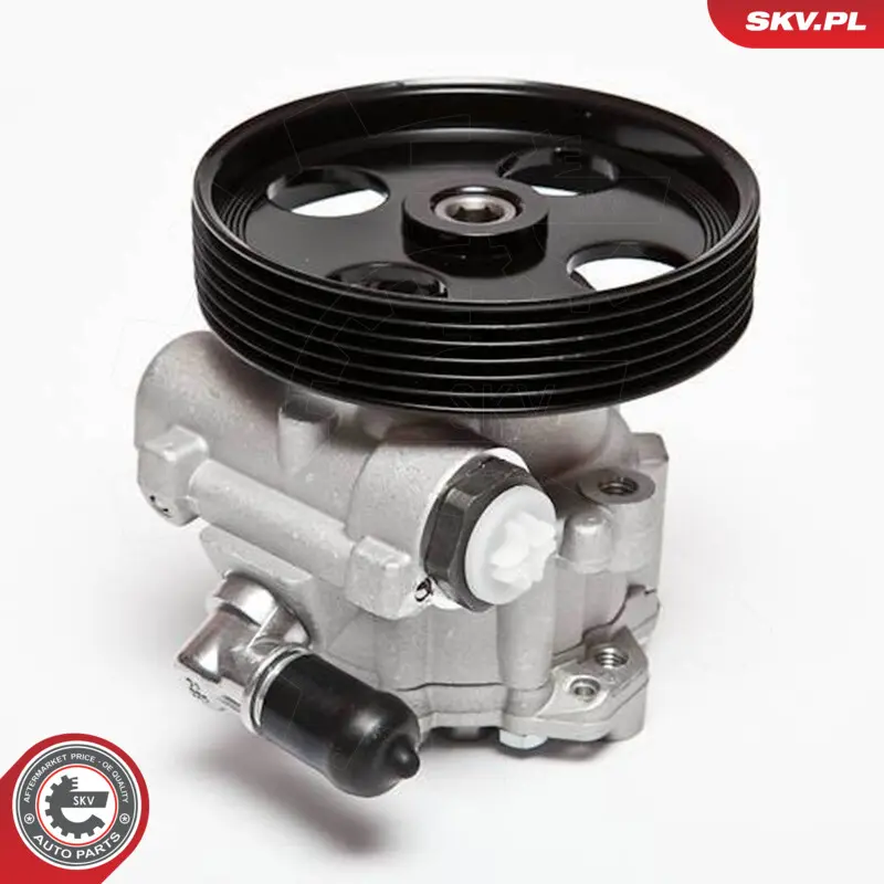 Pompa del servosterzo per Peugeot 306 (7B N3) 306 Break (7E N3) 406 (8B) 4007 A6
