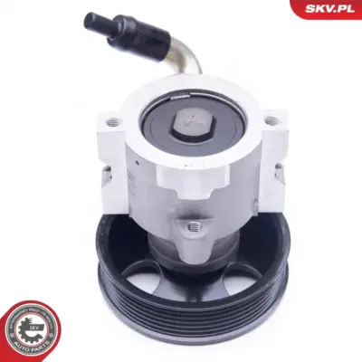 Pompa del servosterzo per Peugeot 306 Hatchback (7A 7C) 306 Break (7E N3) 40070C