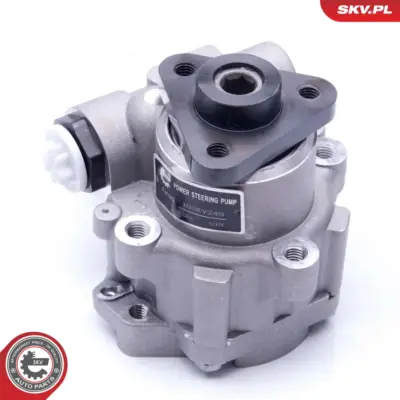 Pompa del servosterzo per Peugeot 406 (8B) 406 Break (8E F) 806 (221) 4007L6