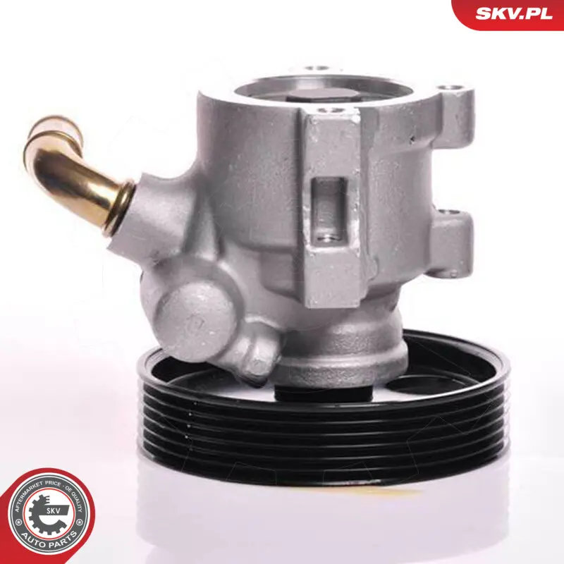 Pompa del servosterzo per Peugeot Expert Expert Platform/Chassis (223) 4007W5