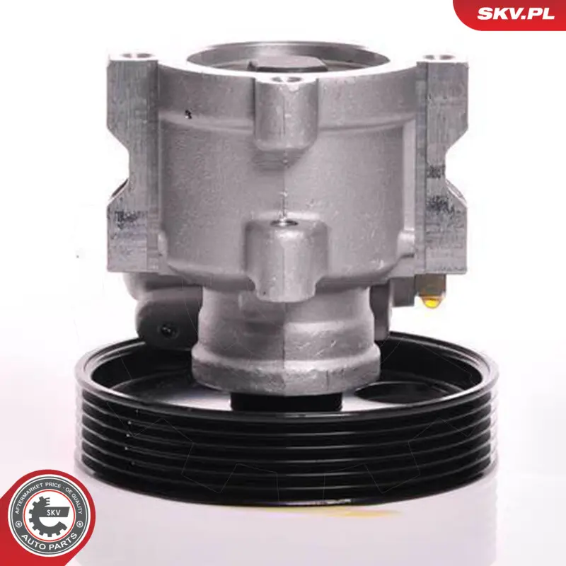Pompa del servosterzo per Peugeot Expert Expert Platform/Chassis (223) 4007W5