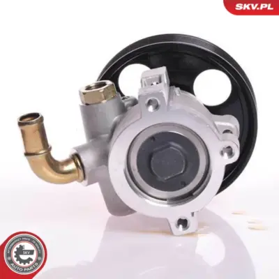 Pompa del servosterzo per Peugeot Expert Expert Platform/Chassis (223) 4007W5