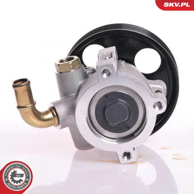 Pompa del servosterzo per Peugeot Expert Expert Platform/Chassis (223) 4007W5