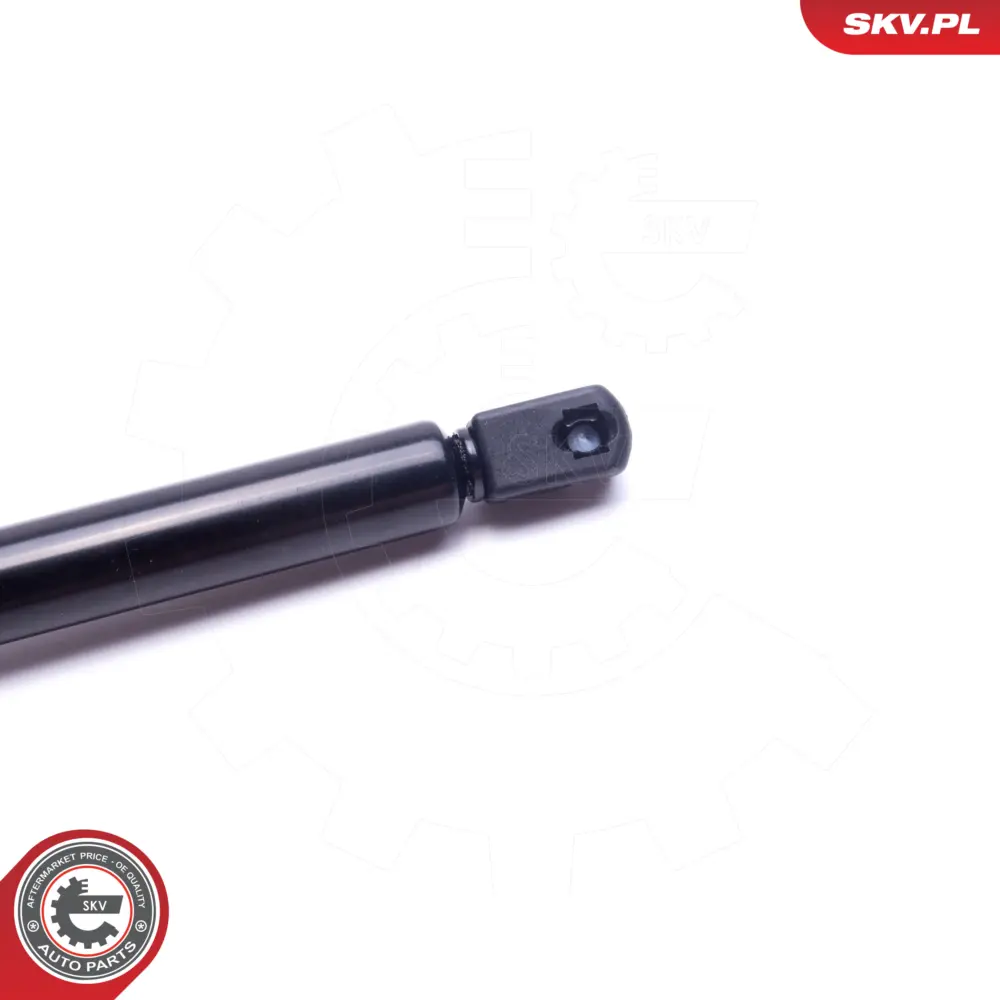 Portellone per Chrysler 300c (LX LE) 04589589AA