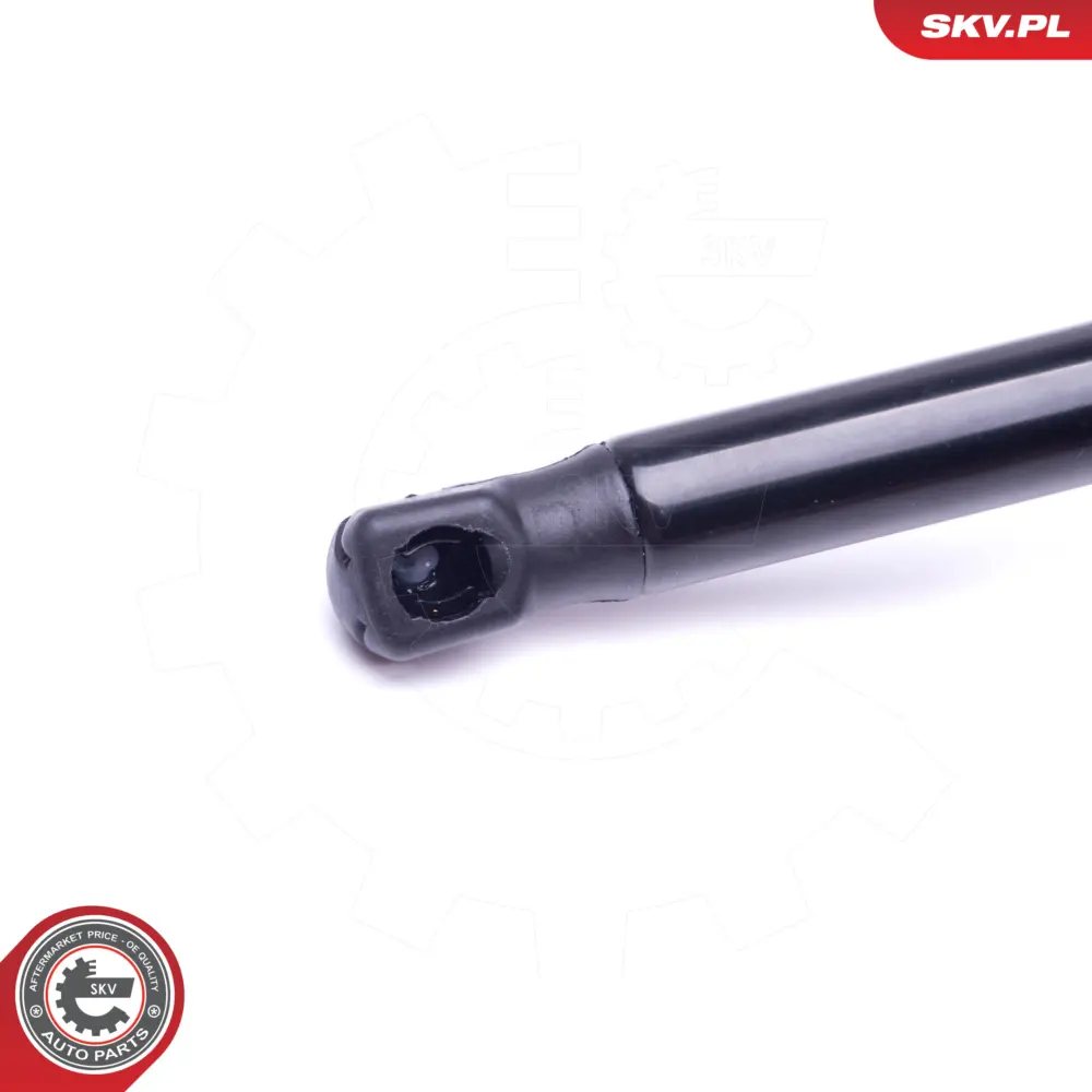 Portellone per Renault Clio II Clio II Hatchback Van (SB0 1) 7700842256