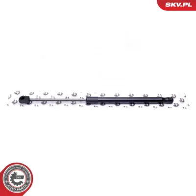 Portellone per Renault Clio II Clio II Hatchback Van (SB0 1) 7700842256
