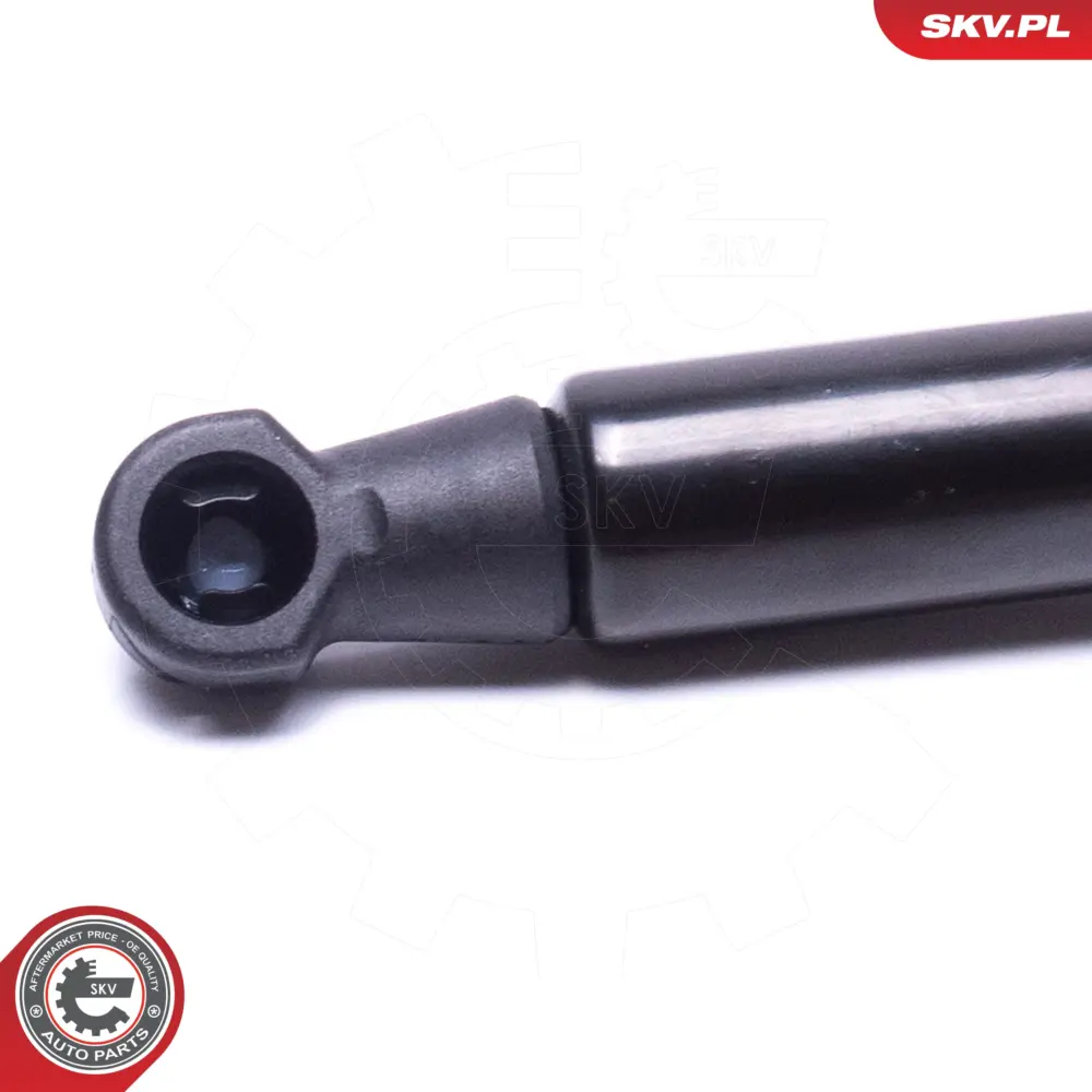 Portellone pneumatico, Cofano bagagli BHE780012