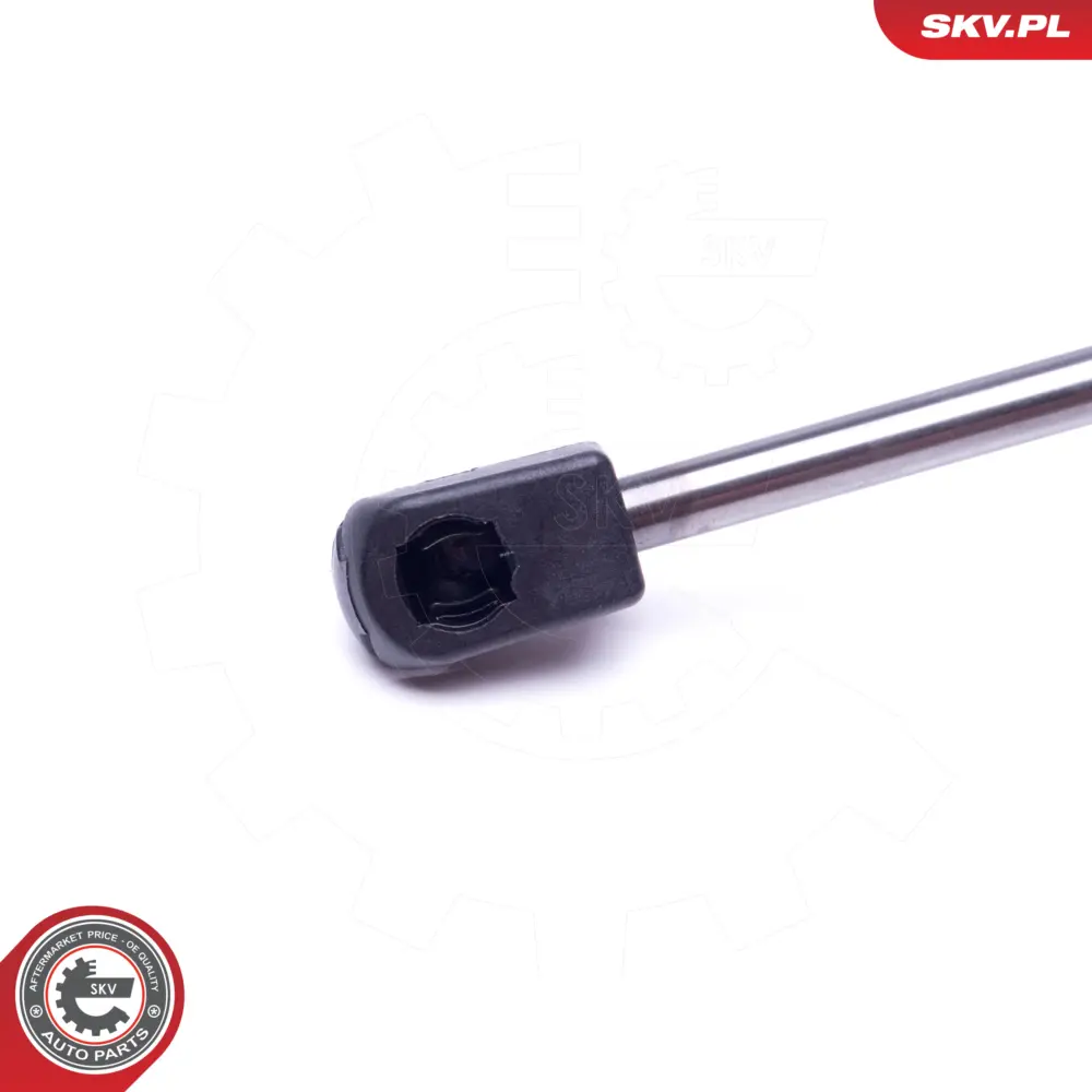 Portellone pneumatico, Cofano bagagli CITROEN C4 coupe 8731J9