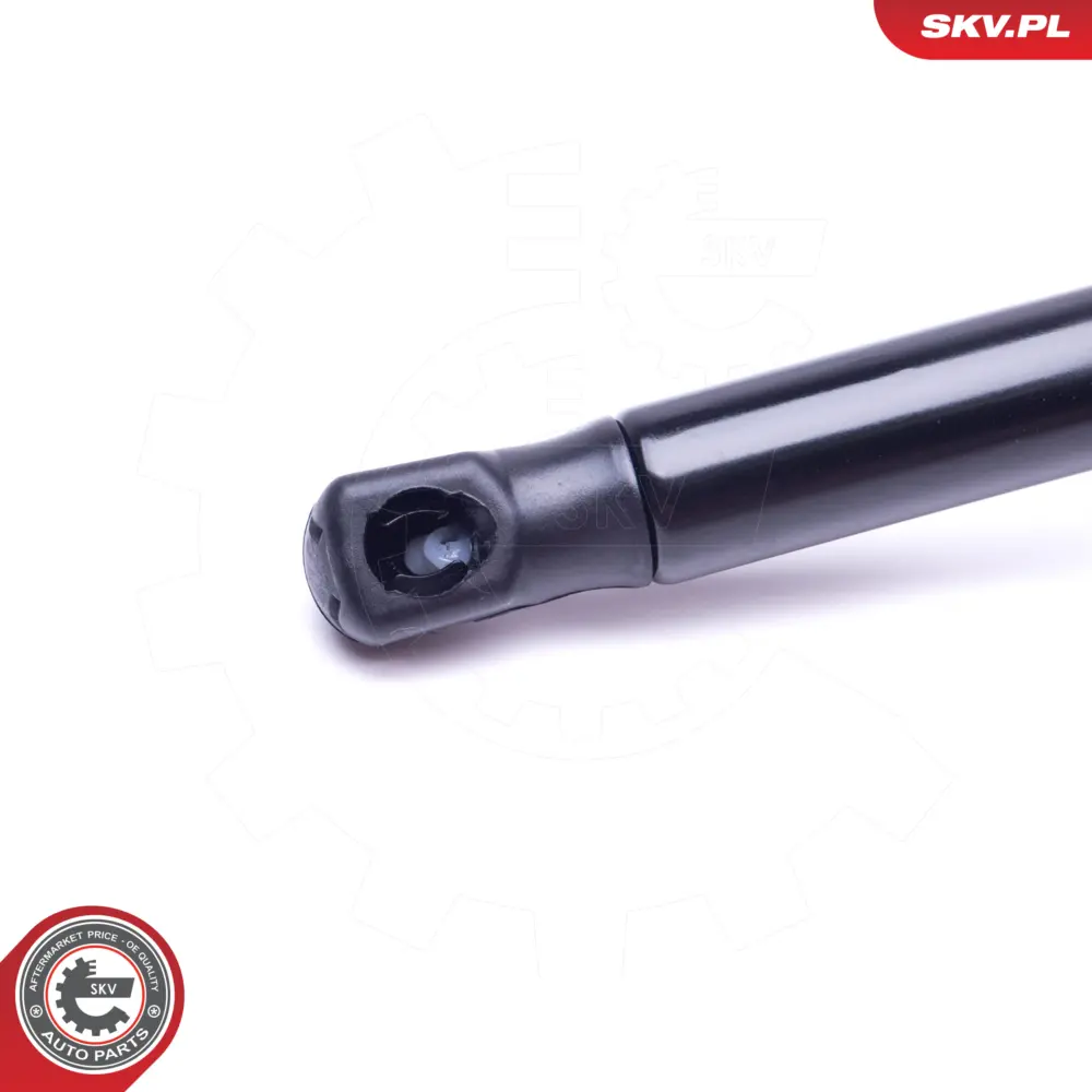 Portellone pneumatico, Cofano bagagli CITROEN C4 coupe 8731J9