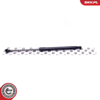 Portellone pneumatico, Cofano bagagli per BMW Serie 1 (E81 E87) 51247060622