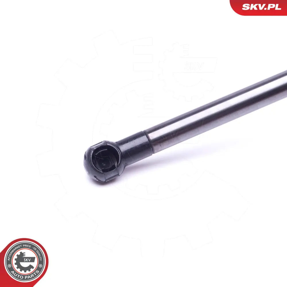 Portellone pneumatico, Cofano bagagli per BMW Serie 5 (E39) 51248222913