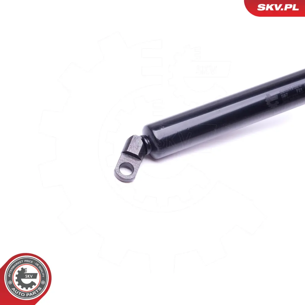Portellone pneumatico, Cofano bagagli per BMW Serie 5 (E39) 51248222913