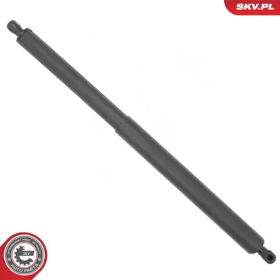 Portellone pneumatico, Cofano bagagli per BMW X2 (F39) 51245A014E5