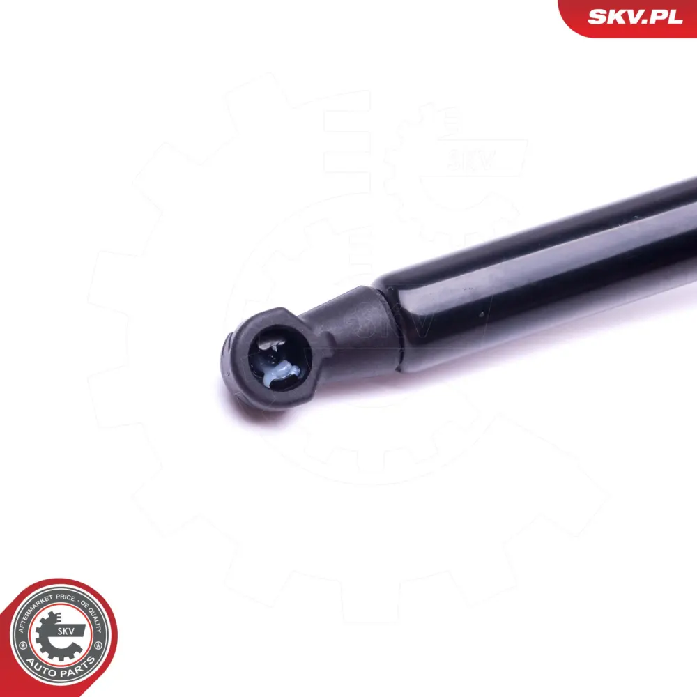 Portellone pneumatico, Cofano bagagli per BMW X5 (E53) 51248402405
