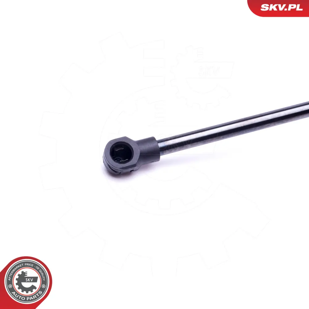 Portellone pneumatico, Cofano bagagli per BMW X5 (E53) 51248402405