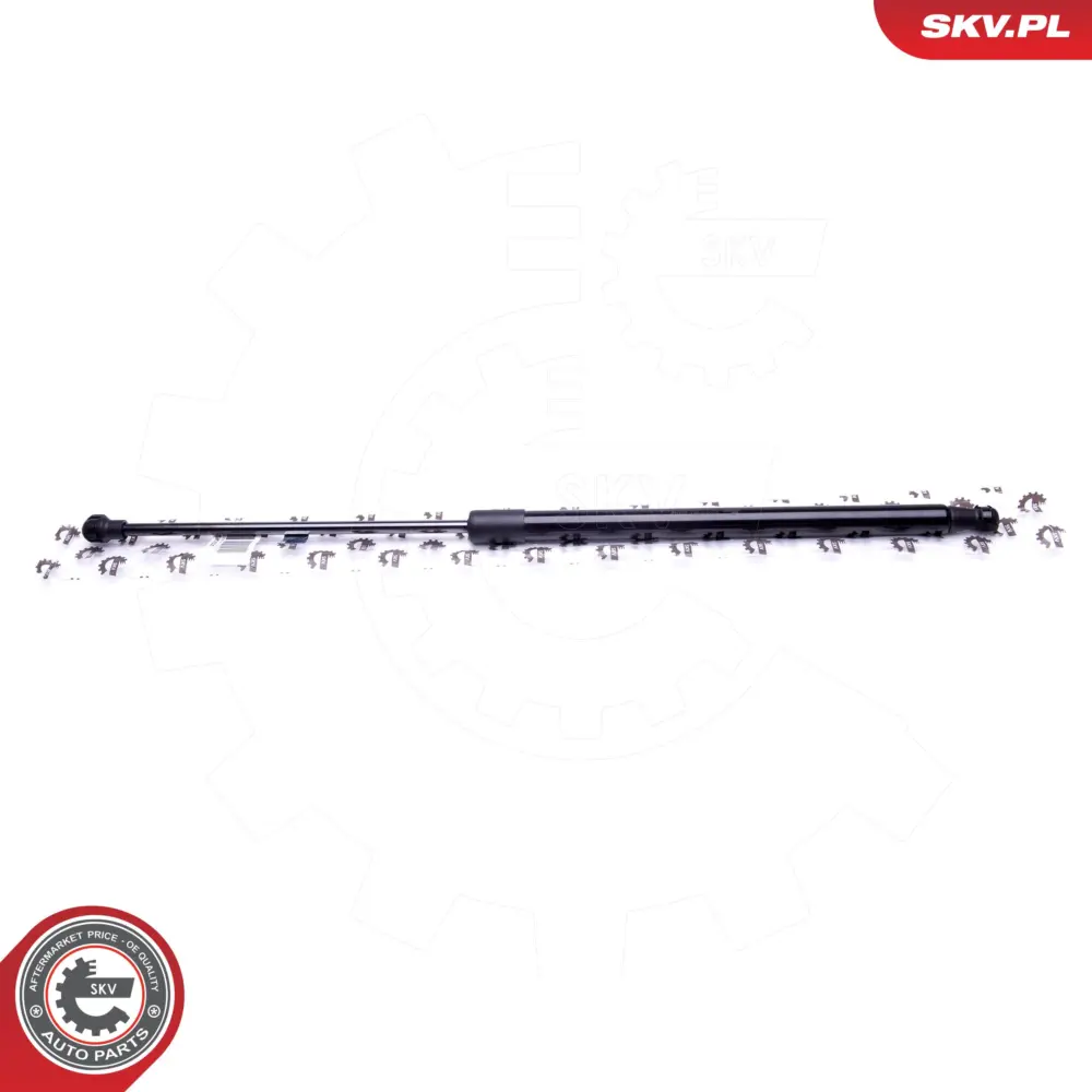 Portellone pneumatico, Cofano bagagli per BMW X5 (E53) 51248402405