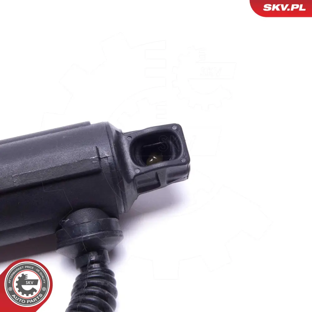 Portellone pneumatico, Cofano bagagli per BMW X5 (E70) 51244887651