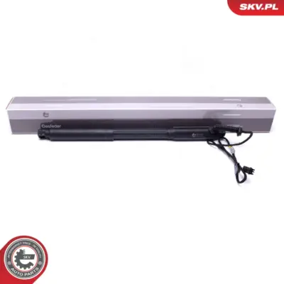 Portellone pneumatico, Cofano bagagli per BMW X5 (E70) 51244887651