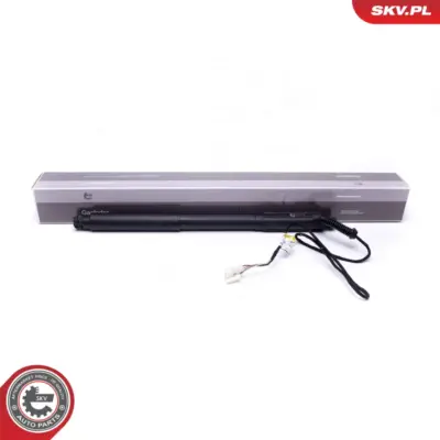 Portellone pneumatico, Cofano bagagli per BMW X5 (E70) 51244887652