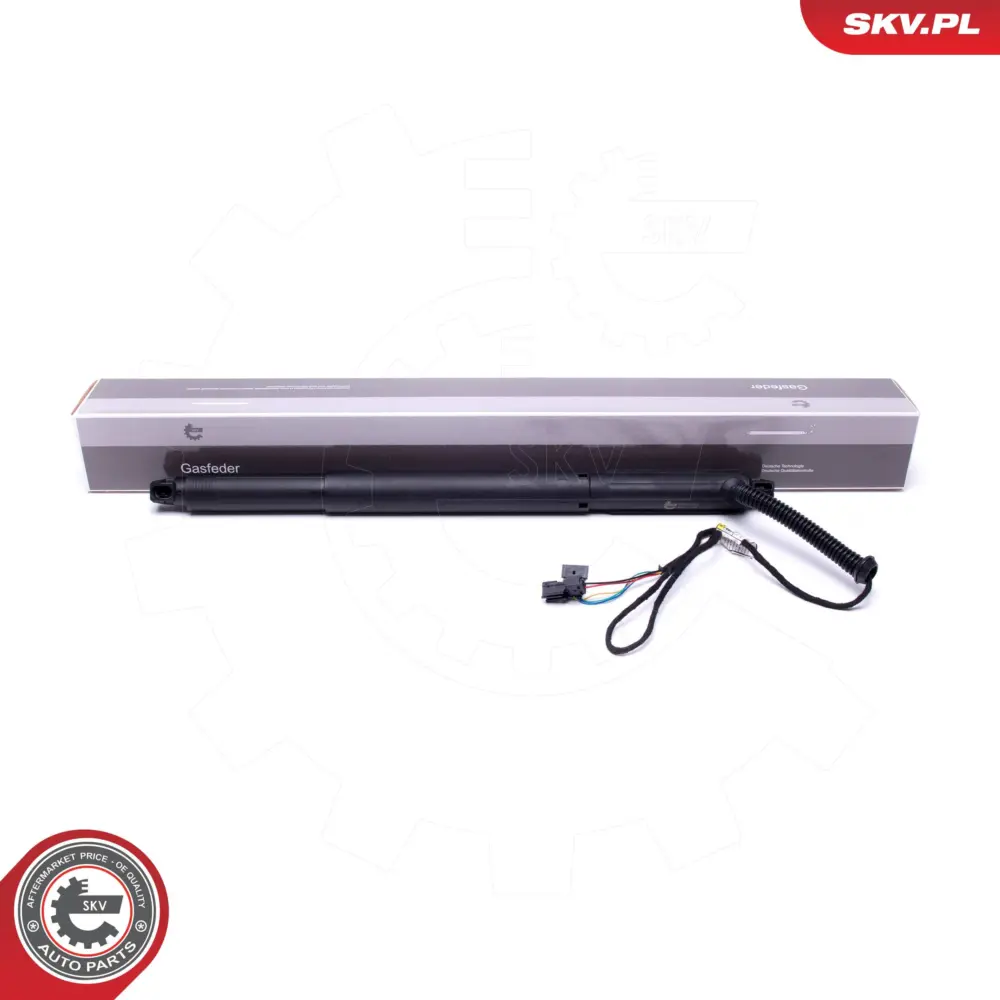 Portellone pneumatico, Cofano bagagli per BMW X6 (E71 E72) 51244887653