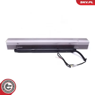Portellone pneumatico, Cofano bagagli per BMW X6 (E71 E72) 51244887654