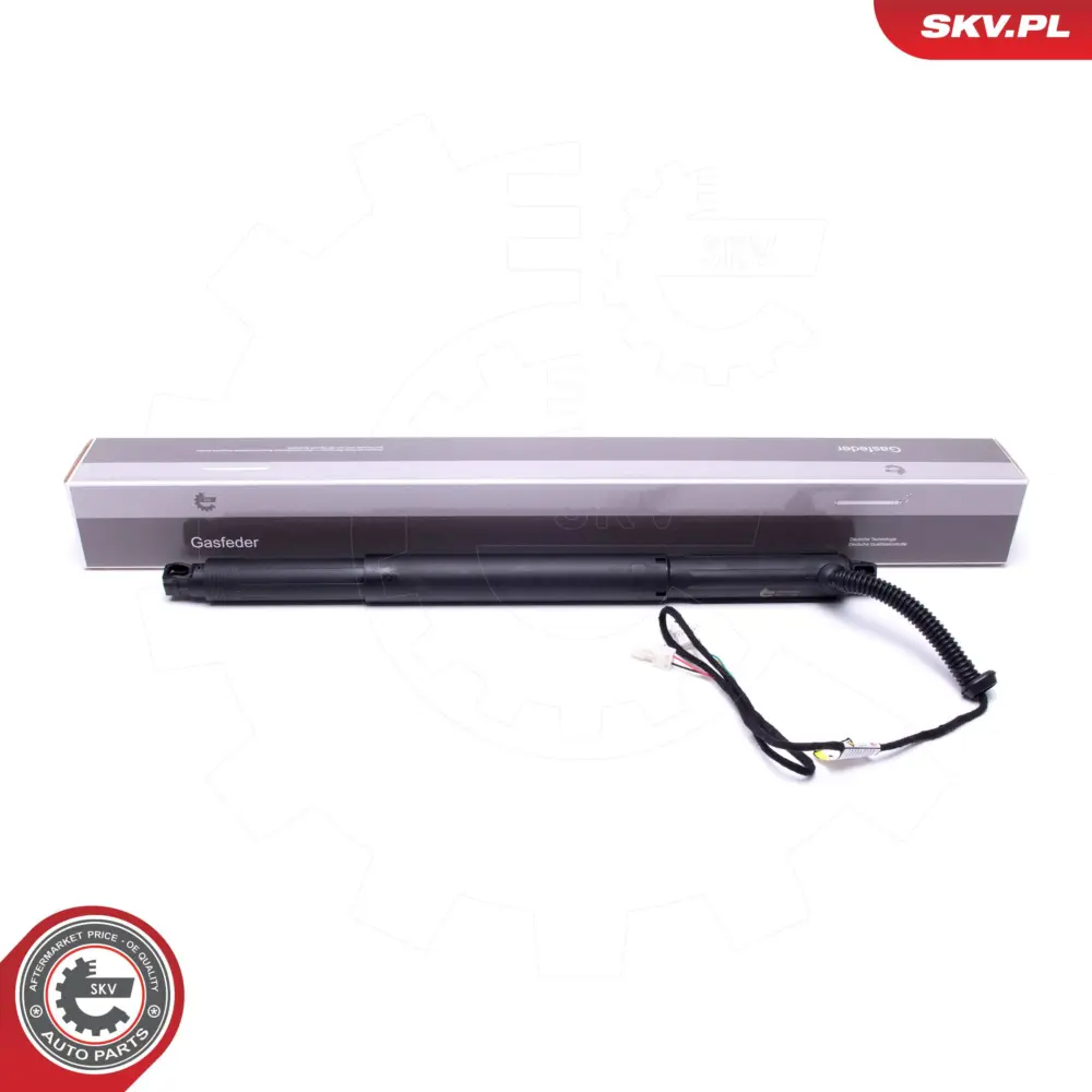 Portellone pneumatico, Cofano bagagli per BMW X6 (E71 E72) 51244887654