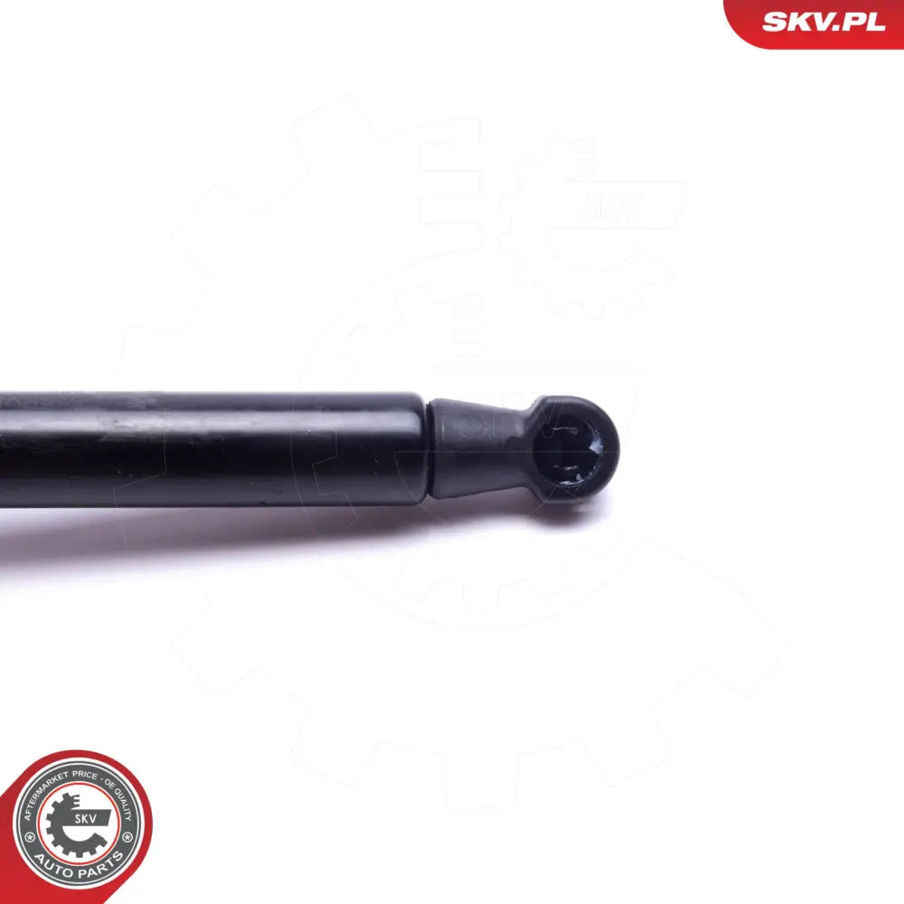 Portellone pneumatico, Cofano bagagli per BMW Z4 (E89) 51247191255
