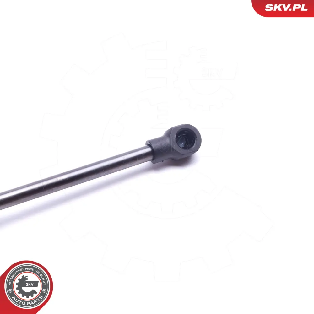 Portellone pneumatico, Cofano bagagli per BMW Z4 (E89) 51247191255