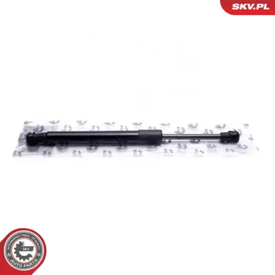 Portellone pneumatico, Cofano bagagli per BMW Z4 (E89) 51247191255