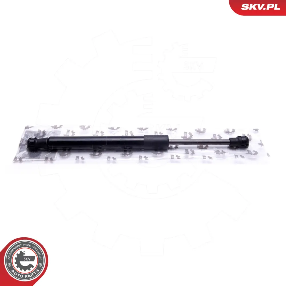 Portellone pneumatico, Cofano bagagli per BMW Z4 (E89) 51247191255
