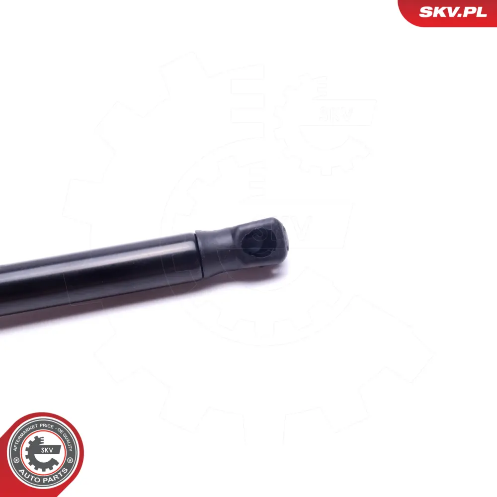 Portellone pneumatico, Cofano bagagli per Dacia Duster 90 45 200 04R